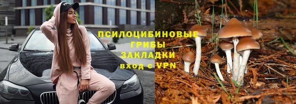 кокс Кукмор